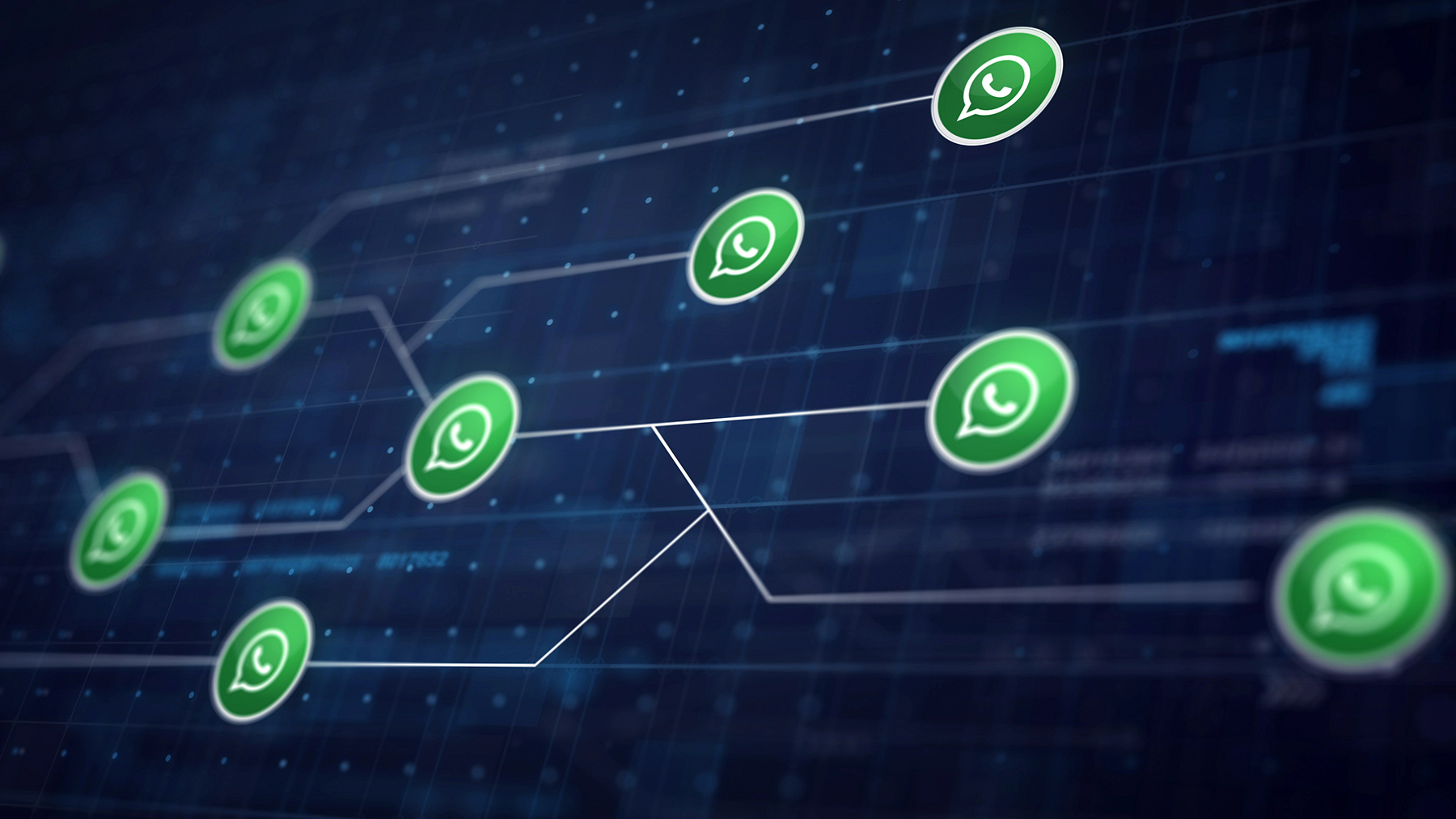 Diferença entre WhatsApp Oficial e Não Oficial